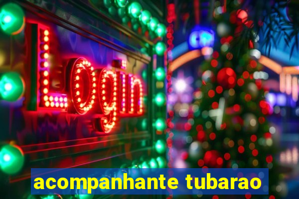 acompanhante tubarao